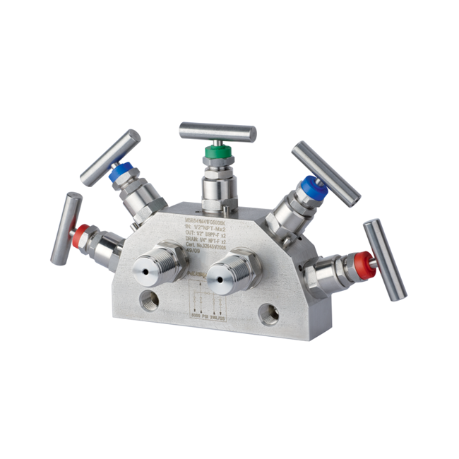 Nuova Fima Bar Stock Five Valve Manifold Block Bleed and Equalizer Direct Mounting, BSM/M5B